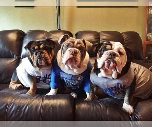 Medium Photo #1  Breeder Profile in WAVERLY, KS, USA