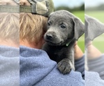 Small #10 Breeder Profile image