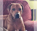 Small #4 Breeder Profile image