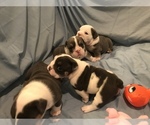 Small #25 Breeder Profile image
