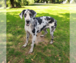 Small #5 Breeder Profile image
