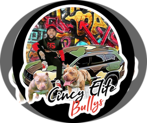 Main photo of American Bully Dog Breeder near CINCINNATI, OH, USA