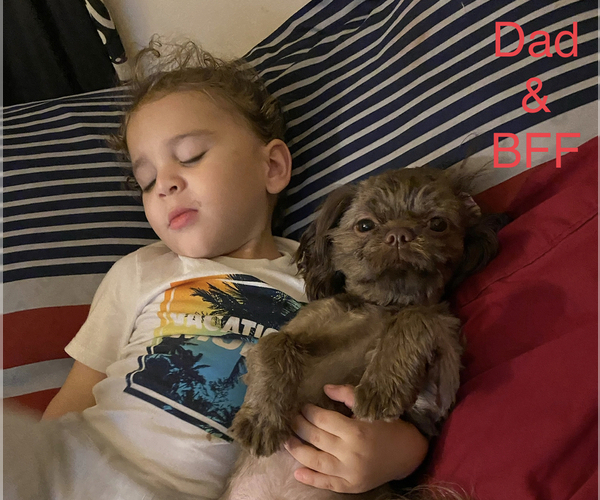 Medium Photo #1  Breeder Profile in HOPE MILLS, NC, USA