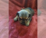 Small #119 Breeder Profile image