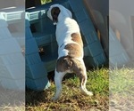 Small #3 Breeder Profile image