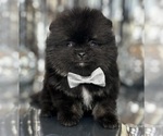 Small #21 Breeder Profile image
