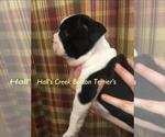 Small #7 Breeder Profile image