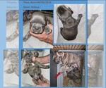 Small #10 Breeder Profile image