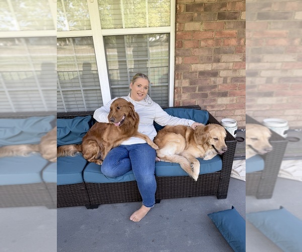 Medium Photo #1  Breeder Profile in FLORENCE, SC, USA