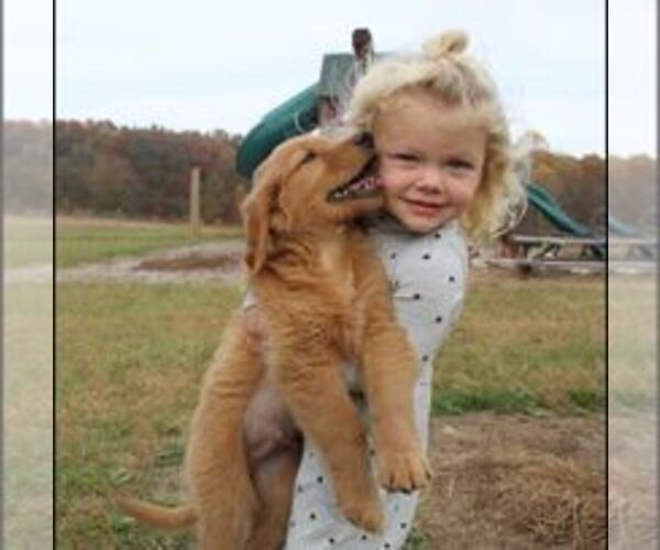 Medium Photo #13  Breeder Profile in MOREHEAD, KY, USA
