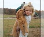 Small #12 Breeder Profile image