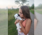 Small #23 Breeder Profile image