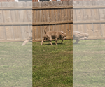 Small #6 Breeder Profile image