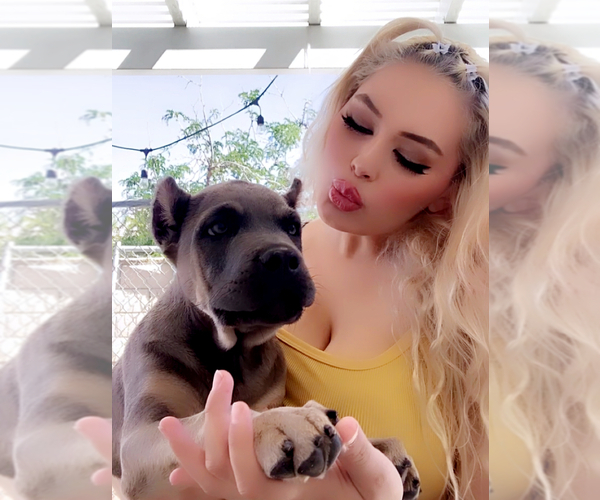 Medium Photo #1  Breeder Profile in CORONA, CA, USA