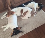Small #24 Breeder Profile image