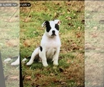 Small #33 Breeder Profile image