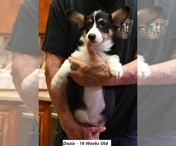 Medium Photo #3  Breeder Profile in FALLON, NV, USA