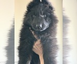 Small #180 Breeder Profile image