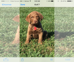 Small #4 Breeder Profile image