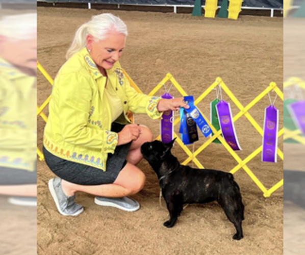 Medium Photo #1  Breeder Profile in HUDSON, CO, USA