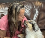 Small #38 Breeder Profile image