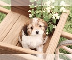 Small #24 Breeder Profile image