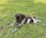 Small #16 Breeder Profile image