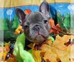 Small #6 Breeder Profile image