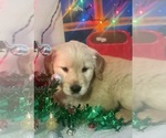 Small #3 Breeder Profile image