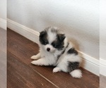 Small #16 Breeder Profile image