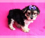 Small #26 Breeder Profile image