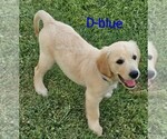 Small #4 Breeder Profile image