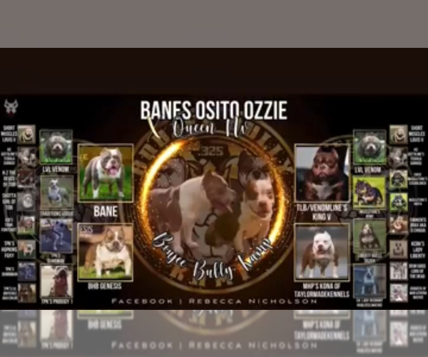 Medium Photo #13  Breeder Profile in ABILENE, TX, USA