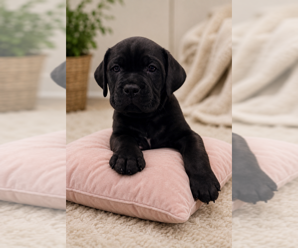 Medium Photo #4  Breeder Profile in PONSFORD, MN, USA