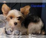 Small #6 Breeder Profile image
