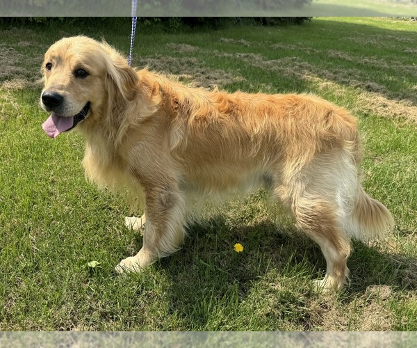 Medium Photo #3  Breeder Profile in MERRILL, MI, USA