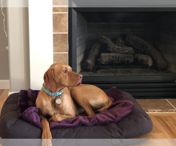 Medium Photo #1  Breeder Profile in LA CENTER, WA, USA