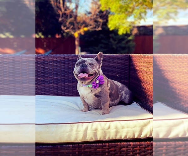 Medium Photo #1  Breeder Profile in VANCOUVER, WA, USA