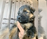 Small #197 Breeder Profile image