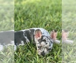 Small #5 Breeder Profile image
