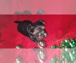 Small #358 Breeder Profile image