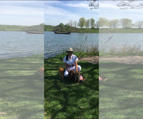 Medium Photo #1  Breeder Profile in JOLIET, IL, USA