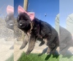 Small #37 Breeder Profile image