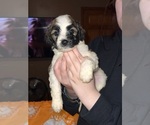 Small #16 Breeder Profile image