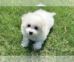 Small #11 Breeder Profile image