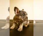 Small #16 Breeder Profile image