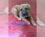 Small #6 Breeder Profile image