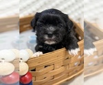 Small #2 Breeder Profile image
