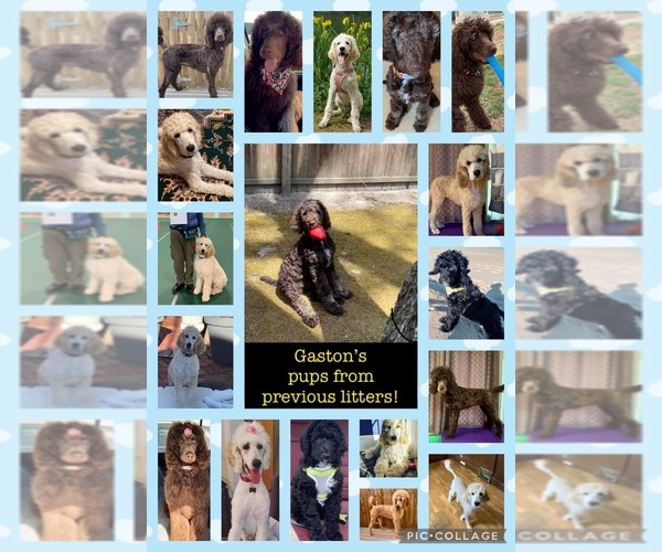 Medium Photo #1  Breeder Profile in VINELAND, NJ, USA