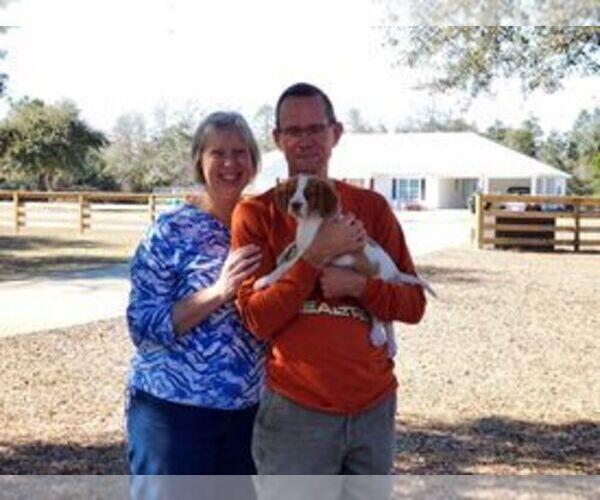 Medium Photo #188  Breeder Profile in HORTENSE, GA, USA